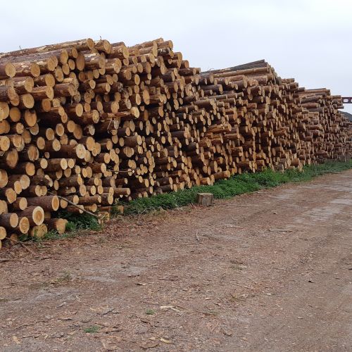 Транспортно-логистический, производственный комплекс (-50%)