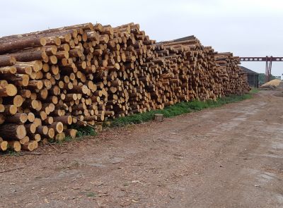 Транспортно-логистический, производственный комплекс